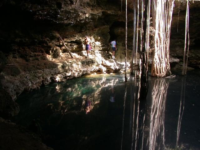 A Yucat&aacute;n cenote