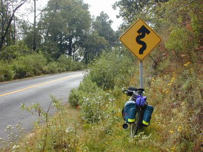A fully-loaded touring bike leaning on a winding-road sign, high in the pine forest