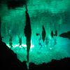 Diving in the Gran Cenote.