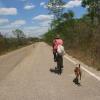 A man rides to the fields with his dog faithfully following