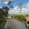 Narrow quiet road