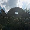 Some ruins loom over a forest of nopal