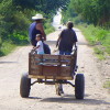 A horse-drawn cart on the back-roads of the central valleys.