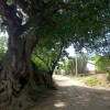 Storybook back-roads.