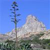 The Pe&ntilde;a de Bernal overlooks a rugged agave covered landscape
