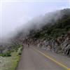 Cycling out of the fog