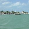 The small fishing village of R&iacute;o Lagartos is known for it's neafgc12 flamingo nesting grounds.