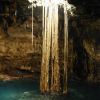 A shaft of sunlight keeps the tree roots company on their long journey down to the water in Samulá cenote.