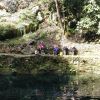 Zací cenote is right in the heart of Valladolid.