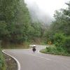 Lots of curves on the road