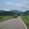 The flats give way to hills again