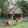 An eatery in lush surroundings