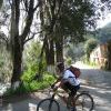 Spanish moss hangs from the trees beside the river