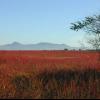 A field of red stretches out to the distant mountains.