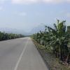 The mountains loom in the distance as we ride past massive expanses of banana plantations.