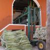 Processing henequen into sisal fibre at Hacienda Sotuta de Peon