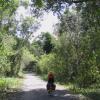 Cycling down a quite narrow road