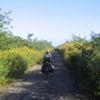 Narrow, quiet roads are what cycling in the Yucatan is all about
