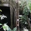 Climbing out of the spectacular Nohoch Ha cenote
