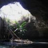 Looking at the island in Nohoch Ha cenote