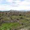 The view from Cantona