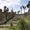 The Olmec-Xicalanca ruins at Cantona