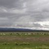 Goats grazing in the wide open fields.