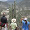 Zapotitlan cactus reserve