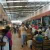 The main market in M&eacute;rida. Get ready to see and taste things you've never seen or heard of before.