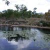 Unusual Xlacah cenote at Dzibilchaltun.