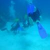 Scuba diving in Playa del Carmen.