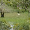 These wetlands are home to an amazing variety of birds.